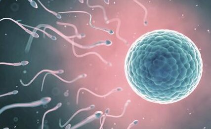 什么季节做试管婴儿成功率高？