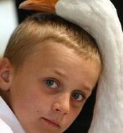 做试管新鲜囊胚跟冷冻囊胚的移植成功率哪个高