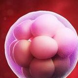 2026温州哪家医院做试管技术好？