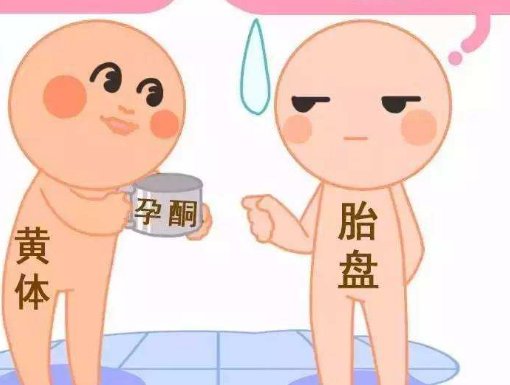 海口试管婴儿医院榜前三的医院有哪些？