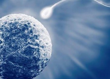 泰国三代试管婴儿收费详解，让您无后顾之忧