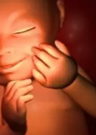 为什么泰国试管婴儿的成功率这么高？